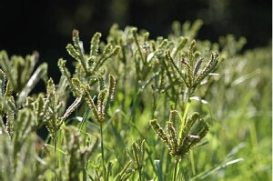 c  q Δp 앨 VRNrG 1kg