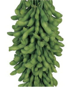 c@G_} TR}`@R[g ܁@PVP