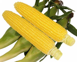 c@XC[gR[@~GR[89@2000