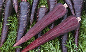 AO@jW lQ ɂ񂶂@_[Np[v@R[g5000