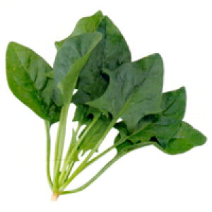 AO@zE\E @@ ق񂻂@Y@3