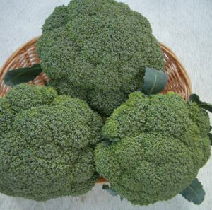 �����A�O���@�u���b�R���[�@��������113���@�R�[�g5000��