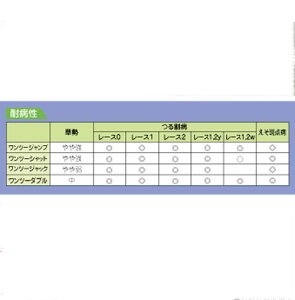 AO@ ؁@c[_u@100