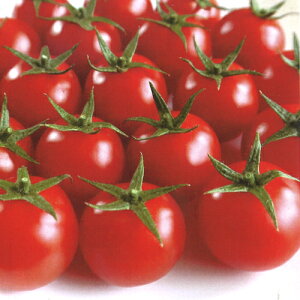 AO@~j g}g Ƃ܂Ɓ@[@1000