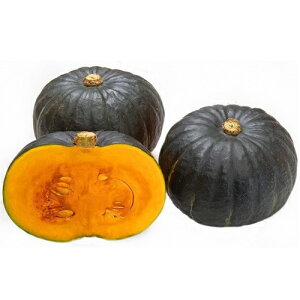 AO@J{` Z ڂ@Î߂2@500