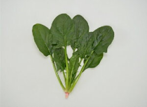 AO@zE\E @@ ق񂻂@AXeAubN@3