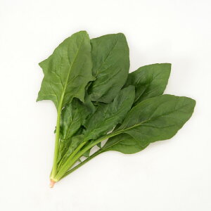 AO@zE\E @@ ق񂻂@EgX^[@3