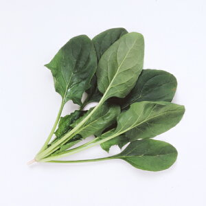 AO@zE\E @@ ق񂻂@X[p[X^[@3