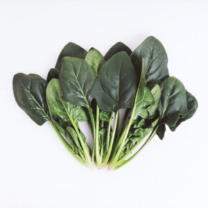 AO@zE\E @@ ق񂻂@V@3