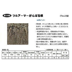 Oc @g}g Ƃ܂ ؁@tA[}[΂鍪@100