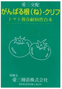 Oc@g}gp؁@΂鍪 Nt@100