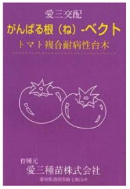 愛三種苗　トマト用台木　がんばる根 ベクト　1000粒