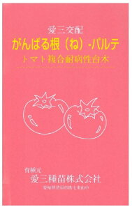 Oc@g}gp؁@΂鍪 pe@100