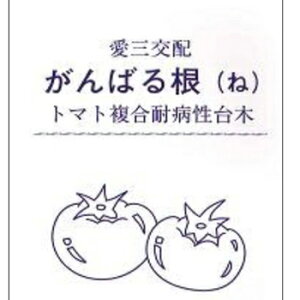 Oc@g}gp؁@΂鍪@1000