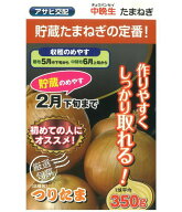 アサヒ農園　タマネギ　たまねぎ　玉葱　つりたま　20ml