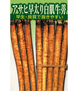ATq_@S{E@ڂ@@蔒@1L