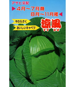 ATq_@Lxc × ׂ@@20ml