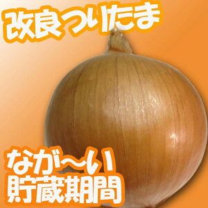 ATq_@^}lM ʔK ܂˂@ǂ肽܁@2dl