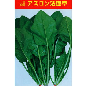 ATq_@zE\E @@ ق񂻂@AX@1L