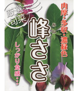 ATq_@GhE 氓 ǂ@􂳂@1dl