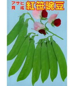 ATq_@GhE 氓 ǂ@g@