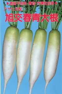 ATq_@_CR 卪 @t@