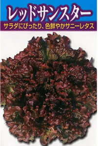 ATq_@[t^X@bhTX^[@20ml