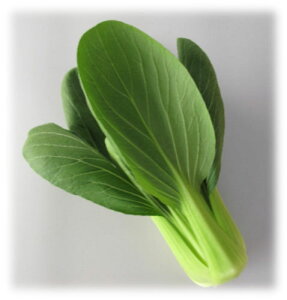 {_ `QTC [ @ZC@R[g5000