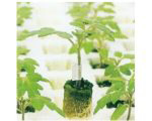 GU@g}g؁@tH^~[m@1000