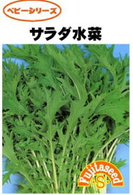 藤田種子　サラダ水菜　小袋
