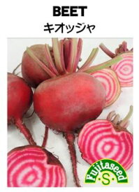 楽天市場 ビーツ 苗の通販