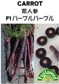 楽天市場 紫人参 種の通販