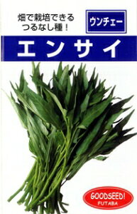 ���� �t�^�o��c�@��Ȃ��G���T�C�@����