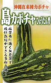 楽天市場 ひょうたん かぼちゃの通販 楽天市場 ひょうたん かぼちゃの通販