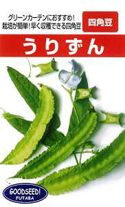   t^oc@lp@@肸@1L