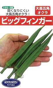 たね フタバ種苗 大長五角オクラ ビッグフィンガー 1L