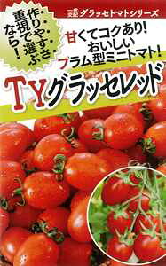  t^oc@TYObZEbhvX@1000