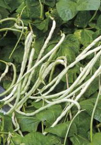 ���� �t�^�o��c�@��Ȃ��������@�Ύ�@����