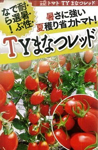  t^oc@TY܂Ȃbh@1000