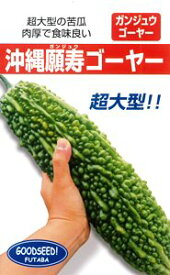 たね フタバ種苗　沖縄願寿ゴーヤー　小袋
