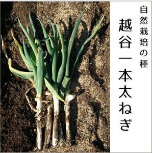  O[tB[hvWFNg lM zJ{˂@