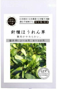  O[tB[hvWFNg jق񑐁@