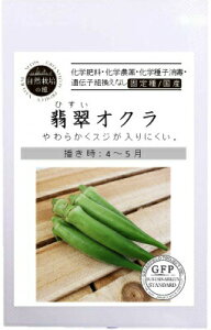 たね グリーンフィールドプロジェクト オクラ 翡翠(ひすい)小袋
