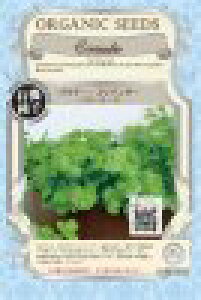  O[tB[hvWFNg pN`[/xr[[t@