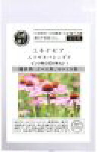  O[tB[hvWFNg GLiZA / GLiPA / TLoMN@