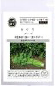  O[tB[hvWFNg Z/Z[^S @