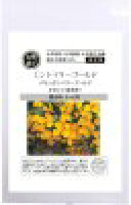  O[tB[hvWFNg ~g}[S[h@LVJ}[S[h Hp 