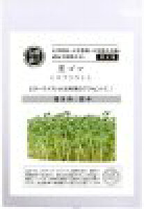  O[tB[hvWFNg S}/ XvEg 