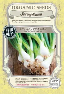  O[tB[hvWFNg lM XvOIjI zCgX{ 