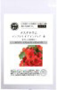  O[tB[hvWFNg iX^`E GvXIuCfBA  